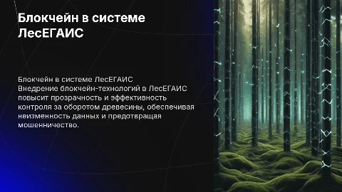 Повышение контроля за древесиной с помощью блокчейна