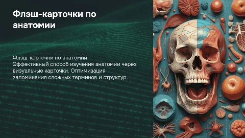 флэш карточки по анатомии