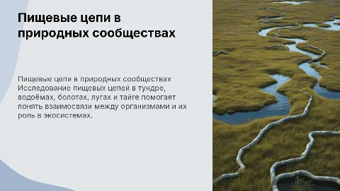 Пищевые цепи в природных сообществах: тундра, водоём, болото