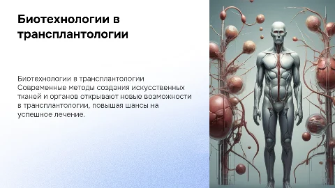 Биотехнологии в создании искусственных тканей и органов