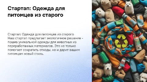 стартап пошив одежды для животных из старой одежды