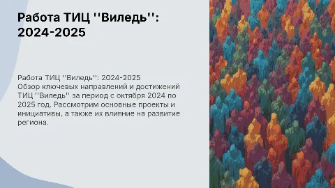 о работе ТИЦ "Виледь" с октября 2024-2025