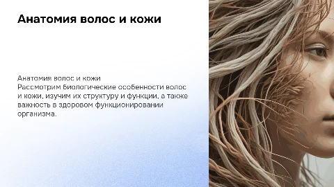 Анатомия волос и кожи: биологические аспекты