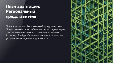 План работы на период адаптации для регионального представителя