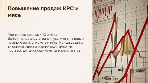 Повышение эффективности продаж КРС и мяса
