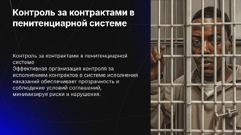Контроль за исполнением государственных контрактов