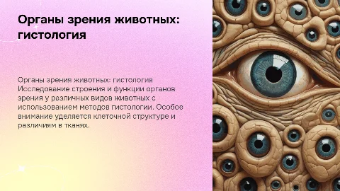 орган зрения животных с точки зрения гистологии