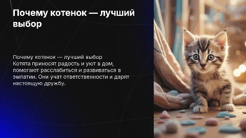 Почему мы должны завести котенка