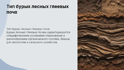 Тип бурых лесных глеевых почв