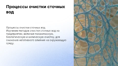 Процессы очистки сточных вод и методы на предприятии