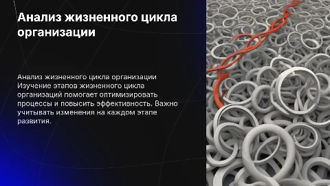 Анализ жизненного цикла организации: стратегии и этапы
