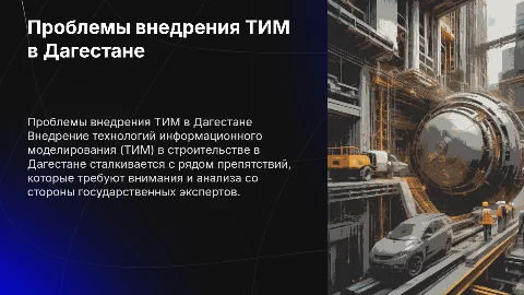 Проблема внедрения ТИМ в Дагестане: Взгляд Госэкспертизы