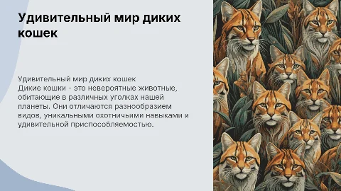 дикие кошки