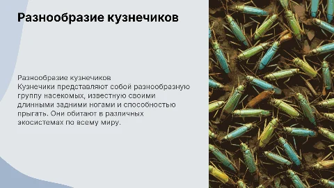 виды кузнечиков