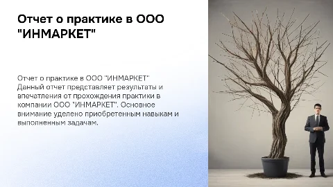Отчет о прохождении практики ООО"ИНМАРКЕТ"