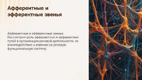 Афферентные и эфферентные звенья речевой системы