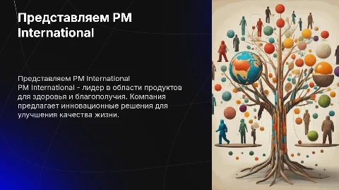 PM international