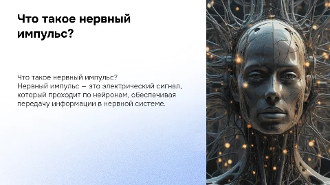 что такое нервный импульс