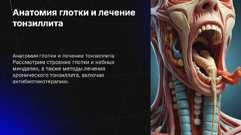 Анатомия глотки и лечение хронического тонзиллита