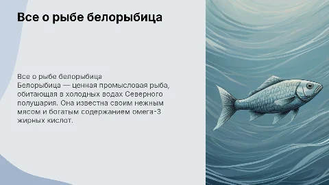 все о рыбе белорыбица