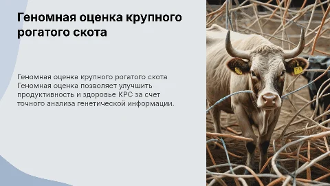 Геномная оценка КРС