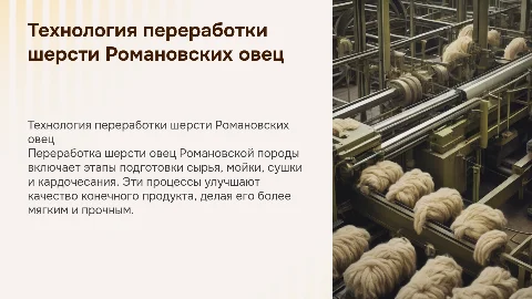 Технология переработки шерсти овец Романовской породы