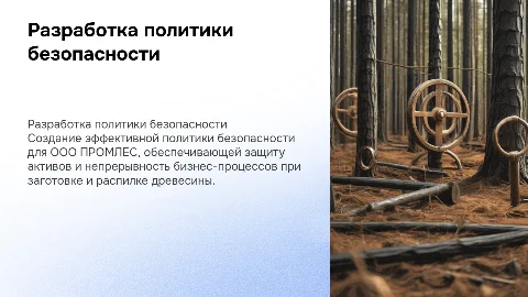 Разработка политики безопасности на предприятии ООО ПРОМЛЕС