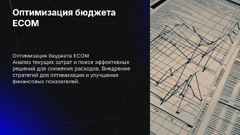 Оптимизация бюджета ECOM департамента