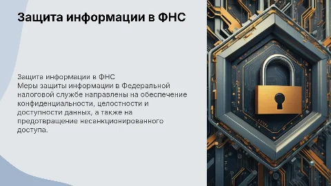 Меры защиты информации в Федеральной налоговой службе