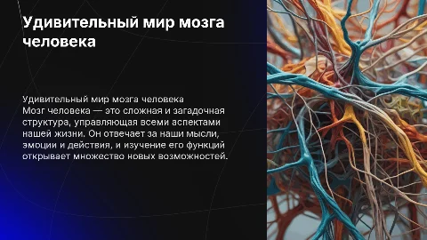 мозг человека