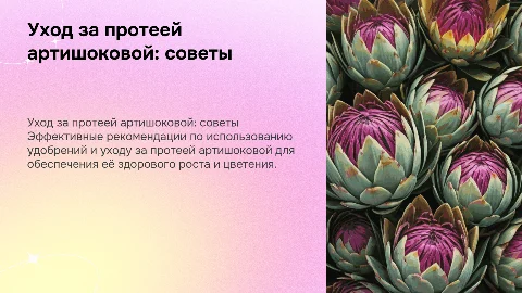 Рекомендации по удобрениям и уходу за протеей артишоковой