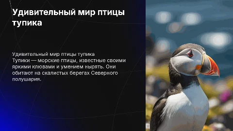 Птица тупик