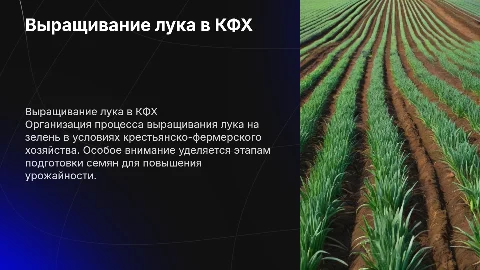 Организация технологического процесса выращивания лука на зелень