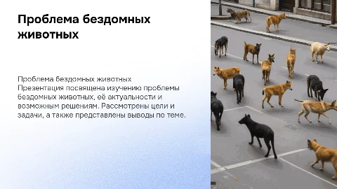 Проблема бездомных животных: актуальность и решения