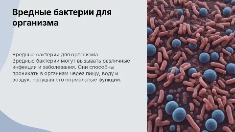 Вредные бактерии для организма биологии 7 класс