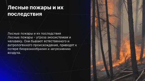 Лесные пожары: виды, опасности и влияние на природу