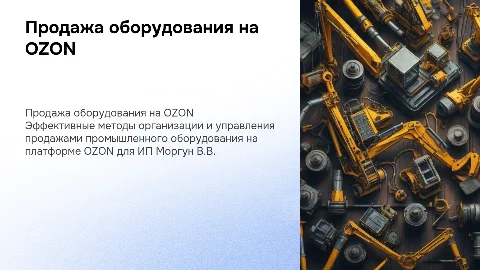 Организация продаж оборудования ИП Моргун В.В. на OZON
