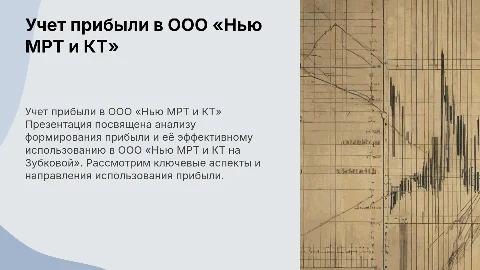 Учет формирования прибыли и её использования в ООО «Нью МРТ»