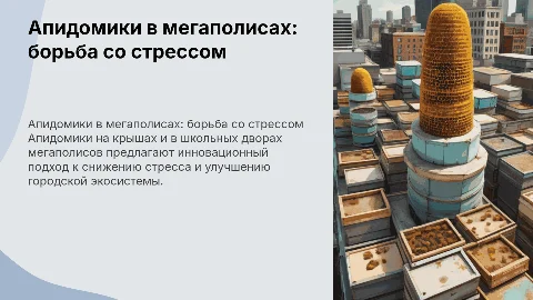 Бизнесплан: апидомики на крышах и в школьных дворах