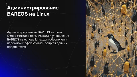 Организация и администрирование ПО BAREOS на Linux