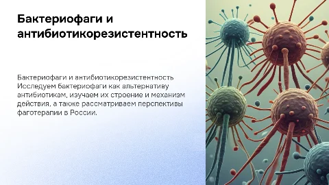 Бактериофаги и антибиотикорезистентность: будущее фаготерапии