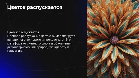 Цветок распускается