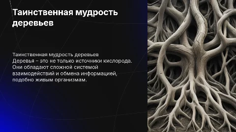Разум дерева