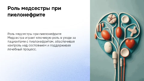 Деятельность медицинской сестры при пиелонефрите