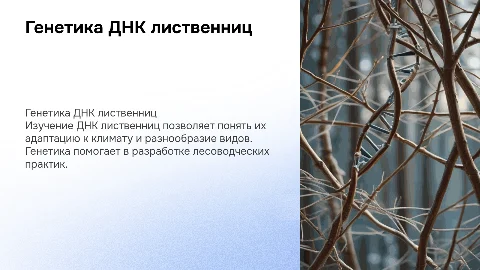 генетика ДНК лиственниц