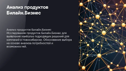 Анализ продуктов Билайн.Бизнес для компаний Новосибирска