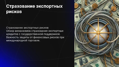 Страхование экспортных кредитов и рисков с поддержкой государства