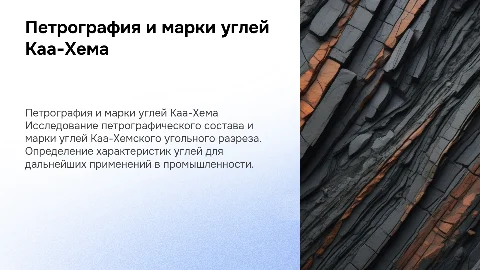 Петрографический и марочный состав углей Каа-Хема