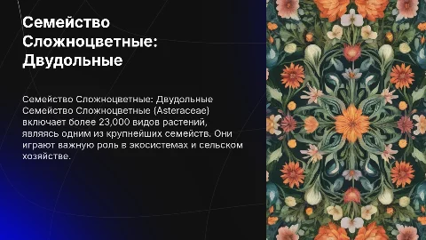 Семейство Сложноцветные (Asteraceae), класс Двудольные