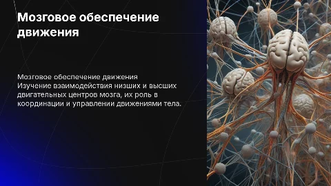 Мозговое обеспечение движения: низшие и высшие двигательные центры